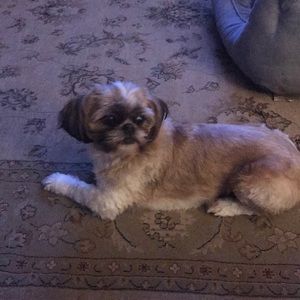 Meet your Posher, Kristin